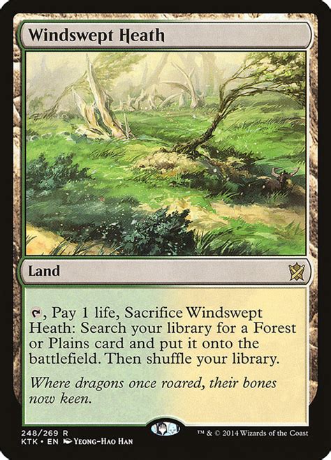 green white fetch land|mtg green white shock land.